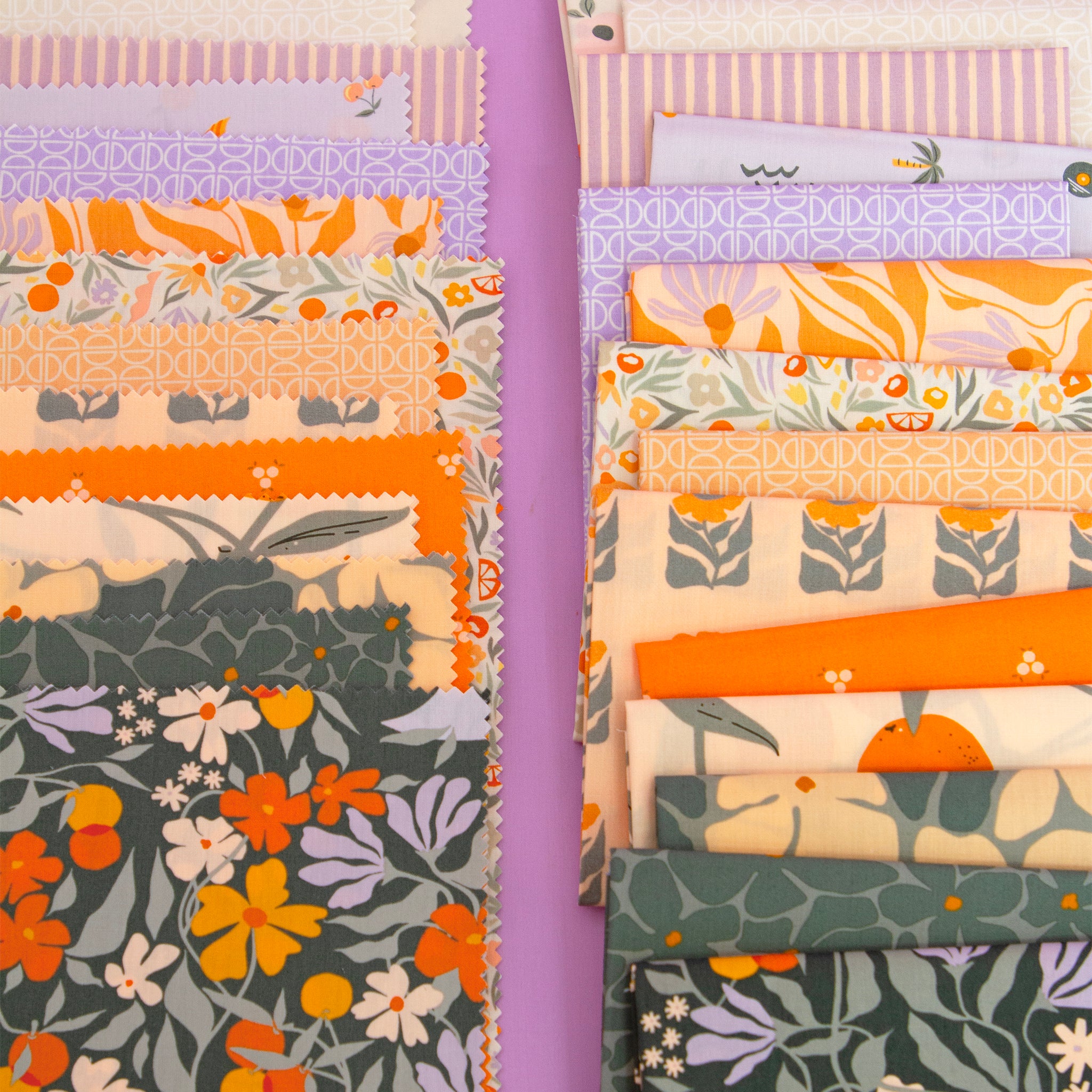 Tangerine Fabric Collection -  Bloom Burst Moonlit - Image 9